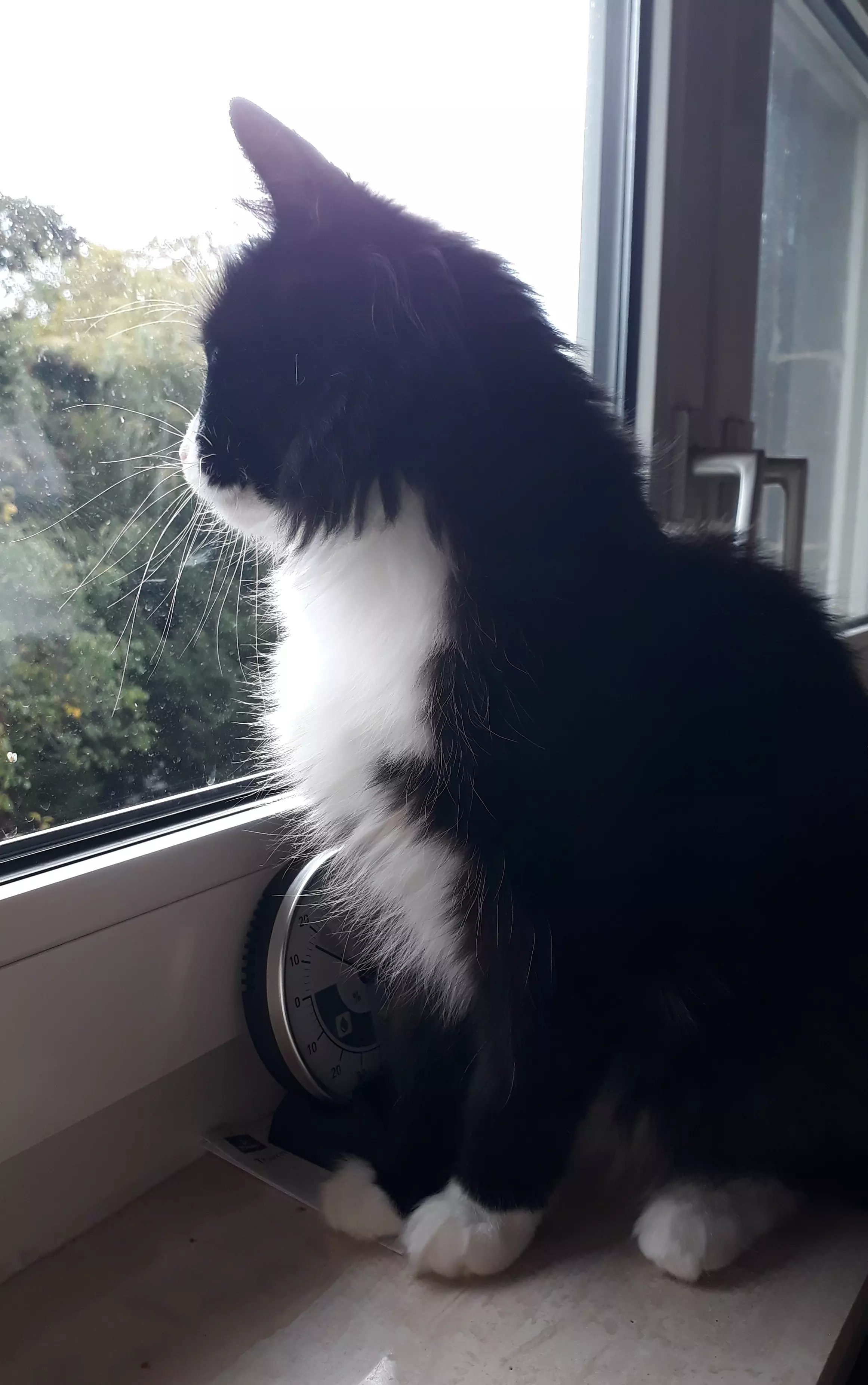 Kats`clusive – das Katzen Exklusiv Appartement Kats`clusive – das Katzen Exklusiv Appartement