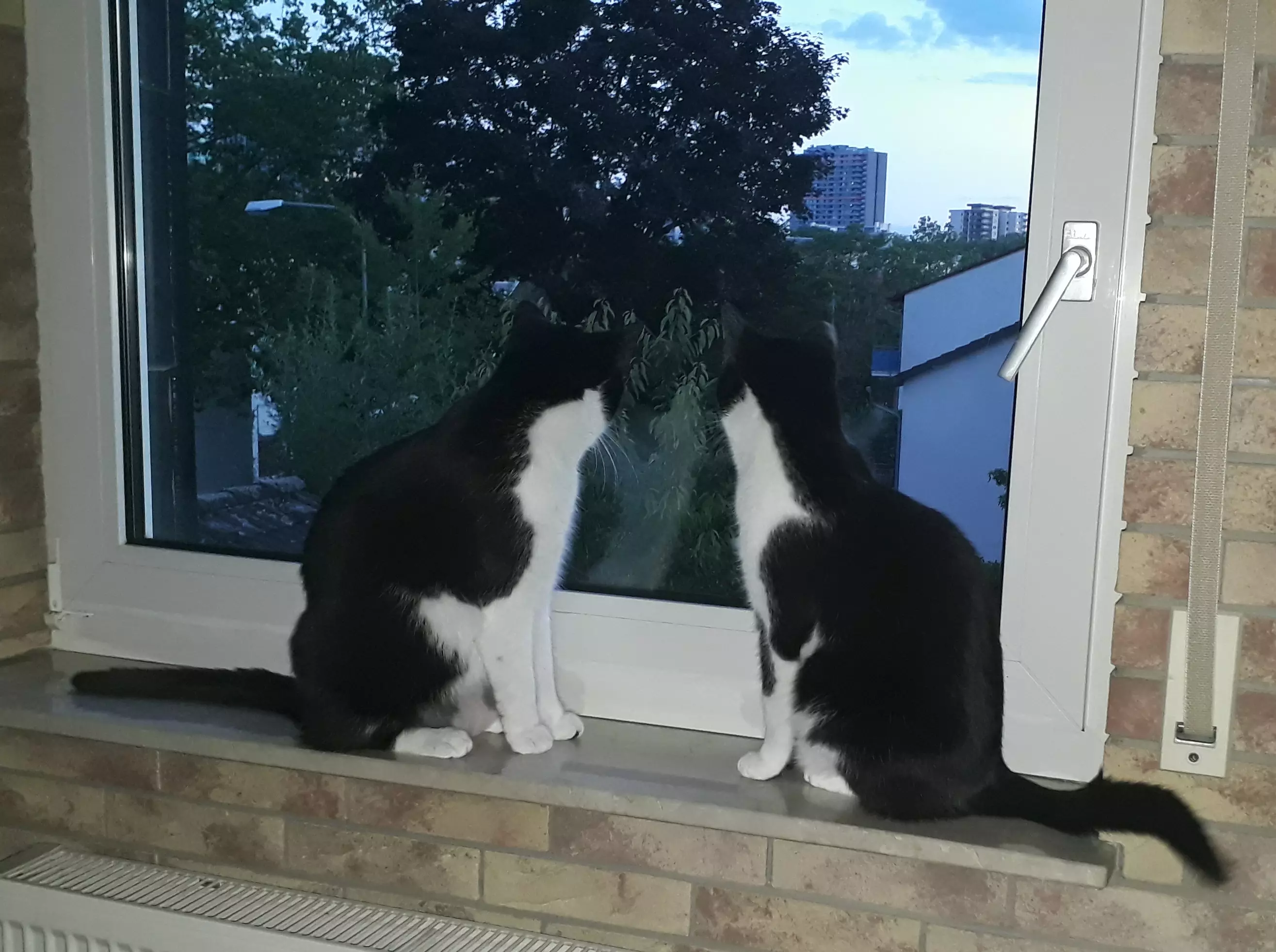 Kats`clusive – das Katzen Exklusiv Appartement Kats`clusive – das Katzen Exklusiv Appartement