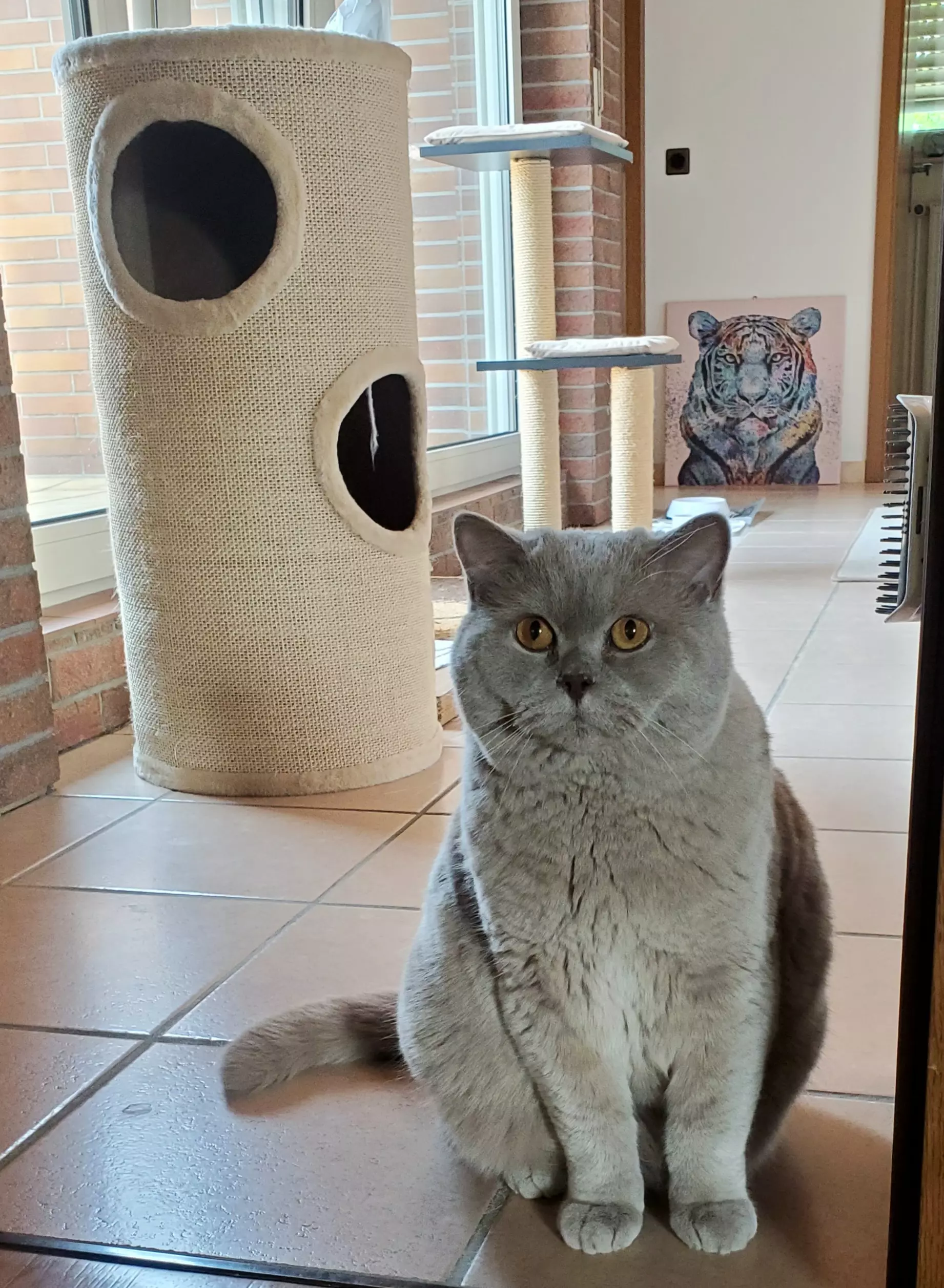 Kats`clusive – das Katzen Exklusiv Appartement Kats`clusive – das Katzen Exklusiv Appartement